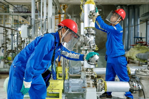 吉林石化25万吨/年甲甲酯改造项目一次开车成功，化工产品生产再添新动力