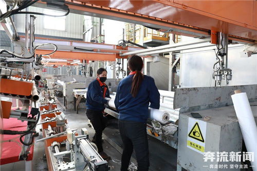 天水市甘谷县 企业全力以“复” 多措并举促生产提产能